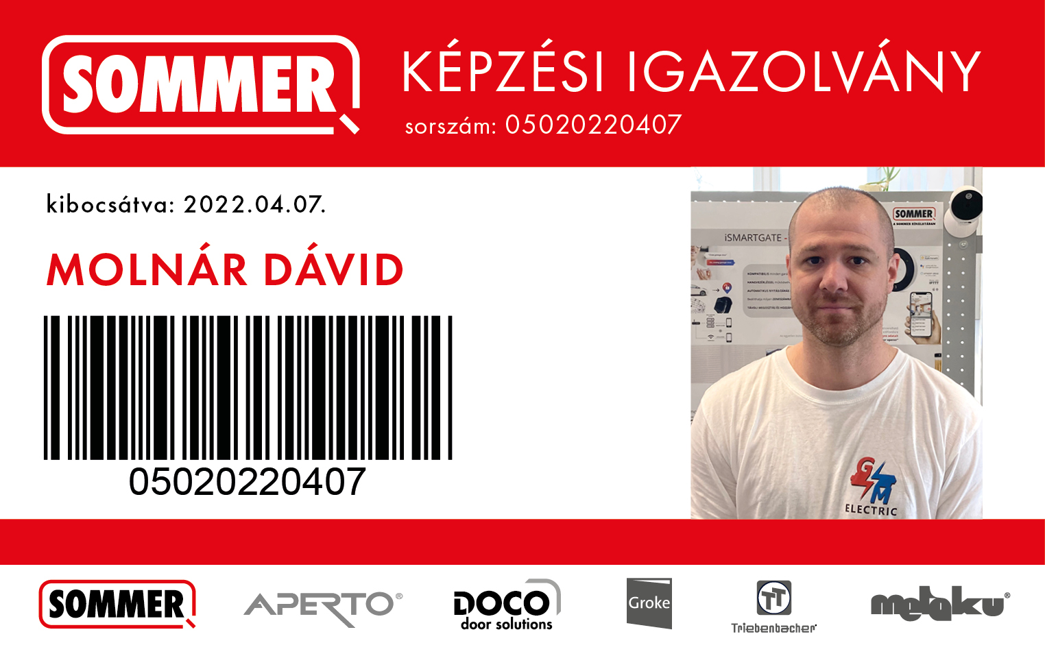 Szakemberkereső - Molnár Dávid - SOMMER
